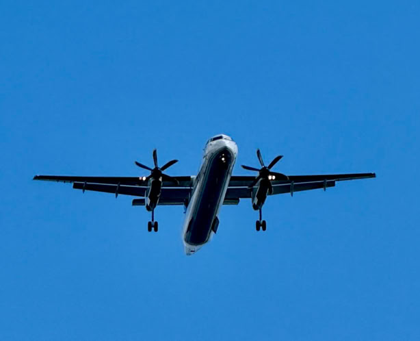 Collection of vintage Polaroid photos clipped to a wooden wall indoors.